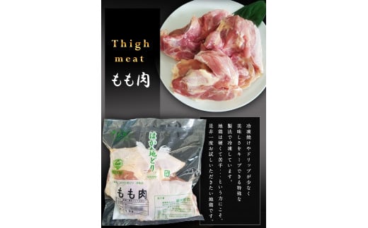はかた地どり もも肉(約1kg) 《30日以内に出荷予定(土日祝除く)》---sc_fhktbmomo_30d_r7_13500_1000g---