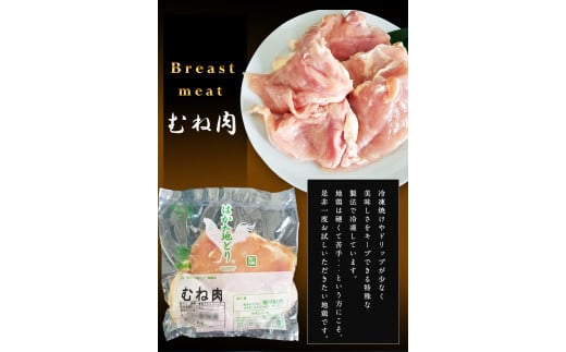 はかた地どり むね肉(約1kg)《30日以内に出荷予定(土日祝除く)》---sc_fhktbmune_30d_r7_10000_1000g---