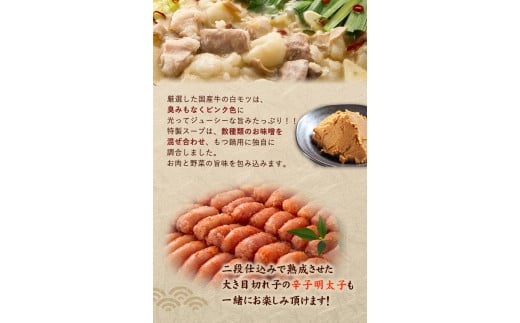 博多の味本舗　厳選国産牛博多もつ鍋みそ味と辛子明太子500g〈無着色〉《30日以内に出荷予定(土日祝除く)》福岡県 もつ鍋---sc_fhtajhmtkm_30d_r7_17500_500g---