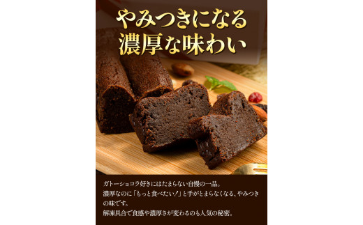 チーズ チョコ ケーキ デザート スイーツ  濃厚ガトーショコラ＆濃厚チーズケーキ 2本セット《30日以内に出荷予定(土日祝除く)》 ---sc_fptsngm_30d_r7_12500_2p---