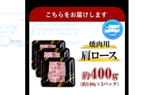 A4ランク 博多和牛 焼肉用肩ロース＆すき焼き用もも肉 食べ比べ(計約900g) 《30日以内に出荷予定(土日祝除く)》 ---sc_fyuc1hwslm_30d_r7_27000_900g---