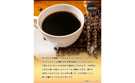 竹炭焙煎 こたけ珈琲 200g×2袋 《30日以内に出荷予定(土日祝除く)》 コーヒー 株式会社コモリファーム---sc_kmcof_30d_r7_11000_400g---