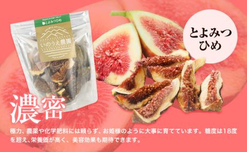 セミドライフルーツ 5袋セット とよみつひめ 《30日以内に出荷予定(土日祝除く)》福岡県 ドライフルーツ いちじく イチジク 無花果 果物---sc_sdft_30d_r7_13500_t---