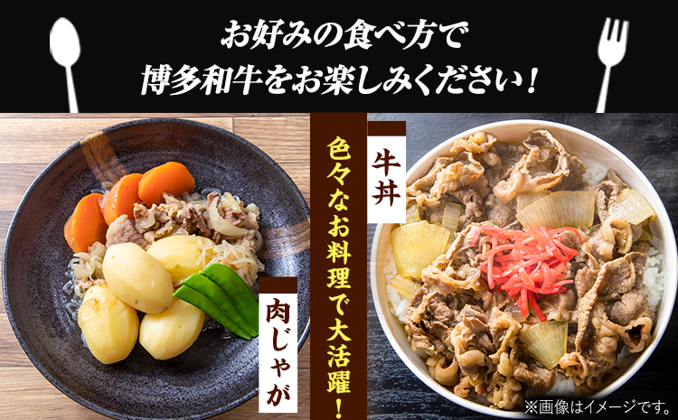 博多和牛切り落とし 1.5kg(500g×3パック)《30日以内に出荷予定(土日祝除く)》 博多和牛 株式会社MEAT PLUS 牛肉 牛肩 バラ A4ランク 以上使用 厳選---sc_fmphtkr_30d_r7_20000_1500g---