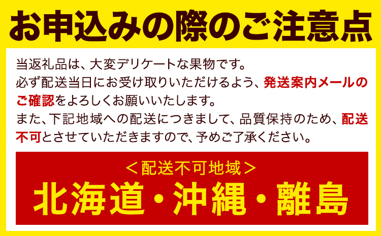 甘うぃ 約1.4kg 9-20玉前後《10月中旬-11月末頃出荷》福岡県 鞍手郡 鞍手町 キウイフルーツ キウイ 福岡県オリジナル 新品種 甘うぃ 果物 くだもの フルーツ【配送不可地域あり】---isc_clfkaw_bc10_26_13000_1400g---