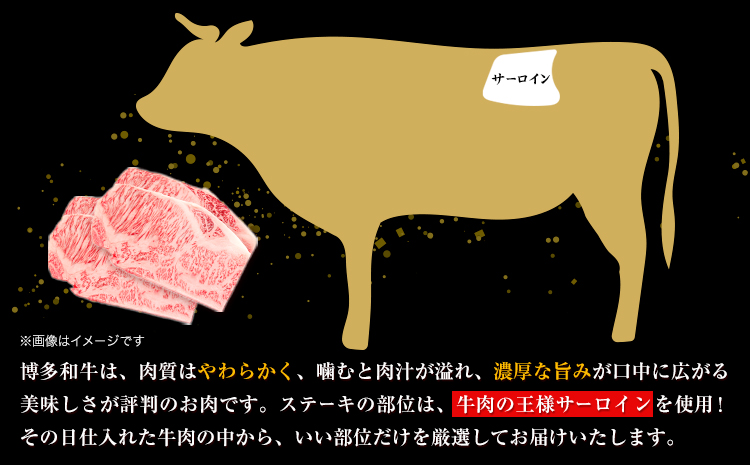 博多和牛サーロインステーキセット 500g 250g×2枚 株式会社MEAT PLUS《30日以内に出荷予定(土日祝除く)》福岡県 鞍手郡 小竹町 博多和牛 和牛 牛肉 サーロイン ステーキ サーロインステーキ---sc_fmpsrin_30d_r7_17500_500g---