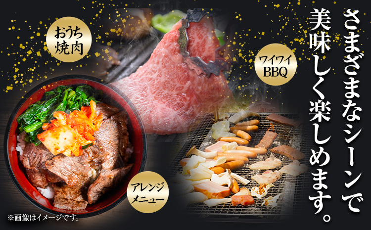 訳あり 博多和牛 A5 A4 焼肉用 500g 株式会社MEAT PLUS《30日以内に出荷予定(土日祝除く)》福岡県 鞍手郡 小竹町 博多和牛 和牛 牛肉 肩ロース バラ カルビ 焼き肉 バーベキュー---sc_fmphtyk_30d_r7_14000_500g---