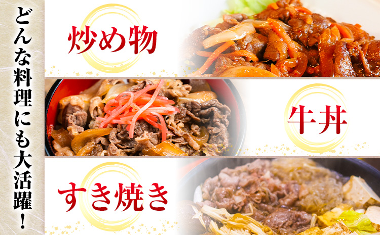 博多和牛 赤身 のみ 切り落とし 合計 800g 株式会社中山家《30日以内に出荷予定(土日祝除く)》小竹町 博多和牛 牛肉 赤身肉 牛 すき焼き 牛丼 和牛 ご家庭用---sc_fnkyhwakm_30d_r7_16000_800g---