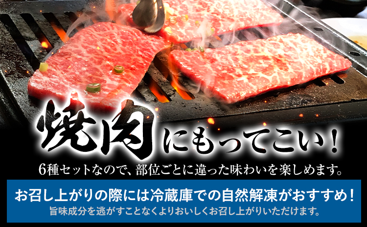 博多和牛 希少部位 おまかせ 6種 セット 株式会社木村食品《30日以内に出荷予定(土日祝除く)》小竹町 博多和牛 牛肉 焼肉用 焼肉 カルビ 上カルビ カイノミ ミスジ フランク トウガラシ トモサンカク カメノコ シンシン ランプ イチボ 和牛 希少---sc_fkmrhkt_30d_r7_17500_6i---