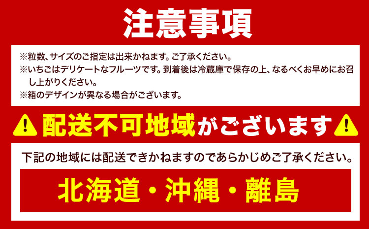 福岡県産あまおうギフト箱 & ふくや味の明太子 540g 南国フルーツ株式会社《12月上旬-3月末頃出荷》福岡県 小竹町 あまおう いちご めんたいこ 明太子 セット 送料無料【配送不可地域あり】---sc_cnngkg_af123_r7_30000_540g---