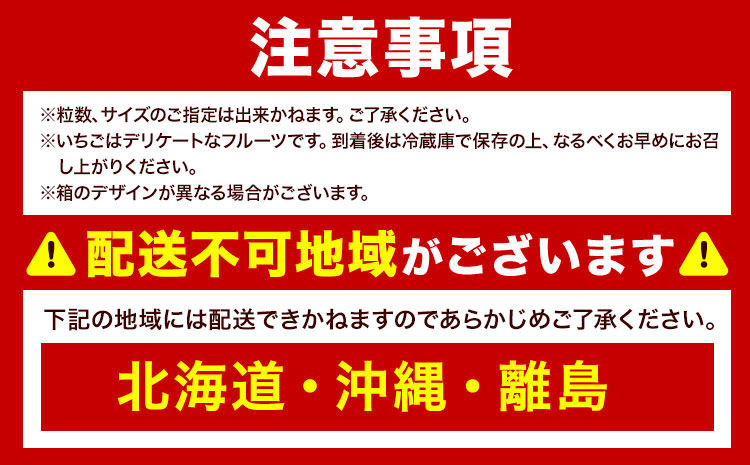 福岡県産 春あまおう 4パック 南国フルーツ株式会社《2月上旬-3月末頃出荷》福岡県 小竹町 あまおう いちご イチゴ 送料無料【配送不可地域あり】---sc_cnngkam_af2_r7_13500_1kg---