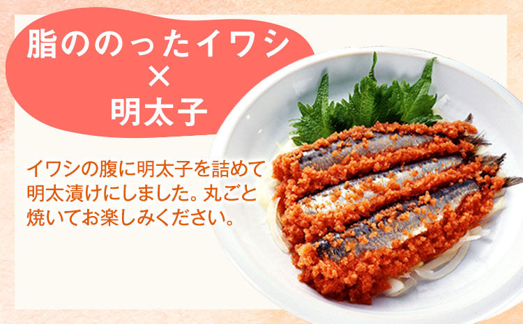 イカ明太子・数の子明太・イワシ明太詰め合わせセット 株式会社オーシャンフーズ《30日以内に出荷予定(土日祝除く)》---sc_fosftume_30d_r7_14000_3set---