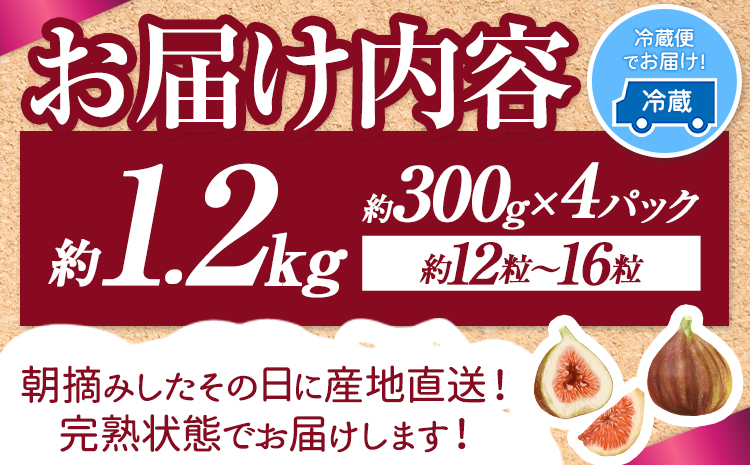 【☆2026年出荷☆】いちじく とよみつひめ 約1.2kg(約300g×4パック)【配送不可地域あり】【日付指定不可】《8月中旬-9月末頃出荷(土日祝除く)》---isc_cbftymt_bc8_26_11000_1200g---　|　いちじくいちじくとよみつひめいちじくいちじくとよみつひめいちじくいちじくとよみつひめいちじくいちじくとよみつひめいちじくいちじくとよみつひめいちじくいちじくとよみつひめいちじくいちじくとよみつひめいちじくいちじくとよみつひめ
