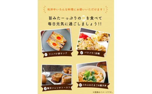 畠中育雛場のげんきタマゴん 80個 《30日以内に出荷予定(土日祝除く)》福岡県 鞍手郡 小竹町 卵 送料無料 有限会社畠中育雛場---isc_chnisegg_30d_r7_13000_80p---