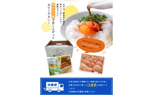 【6ヶ月定期便】畠中育雛場のげんきタマゴん 30個《お申込み月の翌月から出荷開始》卵 有限会社畠中育雛場---isc_chniseggtei_r7_47000_mo6num1---