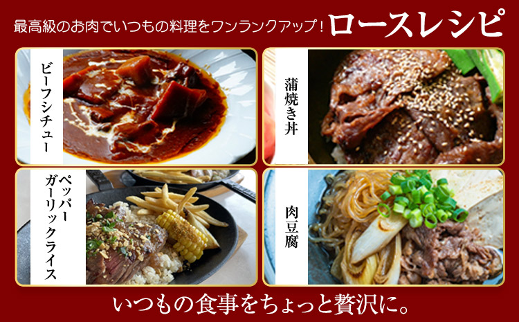博多和牛 ロース 並 500g 株式会社寛大グループ 《30日以内に出荷予定(土日祝除く)》 肉 福岡県 小竹町 にく---sc_fkndinr_30d_r7_16000_500g---