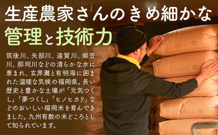 【2ヶ月定期便】米 かぐやのほほえみ 5kg 白米 《お申込みの翌月から出荷開始》 福岡県 小竹町 お米 ブレンド米 国産---ktk_khhtei_26000_5kg_mo2---