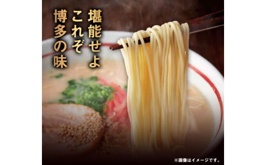 博多ラーメン 10人前 株式会社フーデリジェンス《30日以内に出荷予定(土日祝除く)》福岡県 鞍手郡 小竹町 ラーメン---sc_dlihktmen_30d_r7_9000_10p---