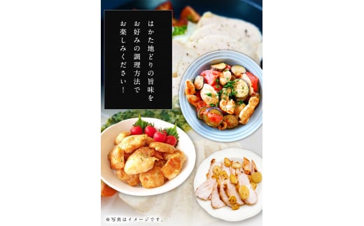 はかた地どり むね肉(約1kg)《30日以内に出荷予定(土日祝除く)》---sc_fhktbmune_30d_r7_10000_1000g---