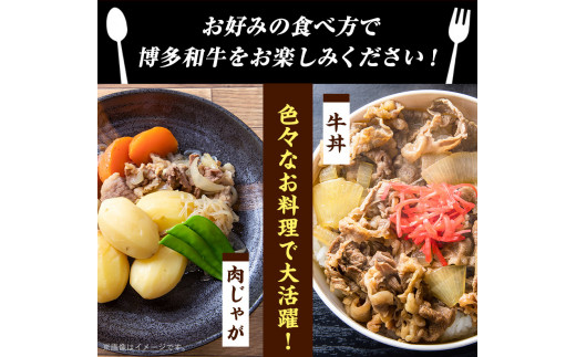 博多和牛切り落とし 1000g (500ｇ×2パック)《30日以内に出荷予定(土日祝除く)》 博多和牛 牛肉 A4ランク---sc_fmphwgkiri_30d_r7_15000_1kg---