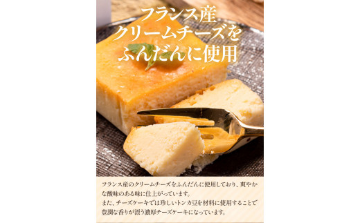 チーズ チョコ ケーキ デザート スイーツ  濃厚ガトーショコラ＆濃厚チーズケーキ 2本セット《30日以内に出荷予定(土日祝除く)》 ---sc_fptsngm_30d_r7_12500_2p---