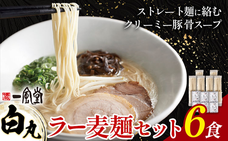 ラーメン 一風堂 白丸 ラー麦麺 6食 地域商社ふるさぽ《90日以内に出荷予定(土日祝除く)》福岡県 鞍手郡 小竹町 ラーメン とんこつ 豚骨スープ 豚骨ラーメン ラー麦 麺---sc_fsipdr_90d_26_10500_6s---