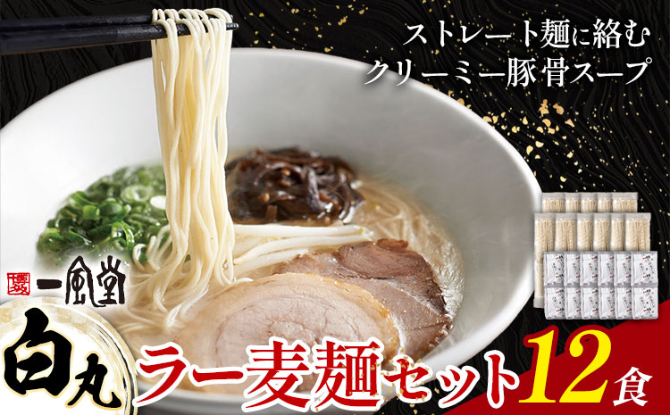 ラーメン 一風堂 白丸 ラー麦麺 12食 地域商社ふるさぽ《90日以内に出荷予定(土日祝除く)》福岡県 鞍手郡 小竹町 ラーメン とんこつ 豚骨スープ 豚骨ラーメン ラー麦 麺---sc_fsipdr_90d_26_15500_12s---
