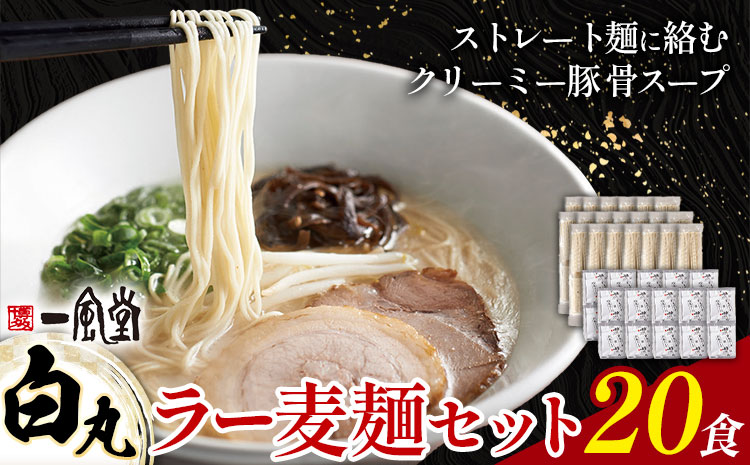 ラーメン 一風堂 白丸 ラー麦麺 20食 地域商社ふるさぽ《90日以内に出荷予定(土日祝除く)》福岡県 鞍手郡 小竹町 ラーメン とんこつ 豚骨スープ 豚骨ラーメン ラー麦 麺---sc_fsipdr_90d_26_20000_20s---