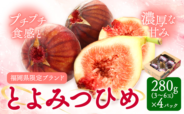 いちじく 無花果 とよみつひめ 280g×4パック《8月中旬-10月中旬頃出荷》福岡県 小竹町 福岡県産 いちじく フルーツ 果物---sktk_ctymt_26_q810_9500_1120g---
