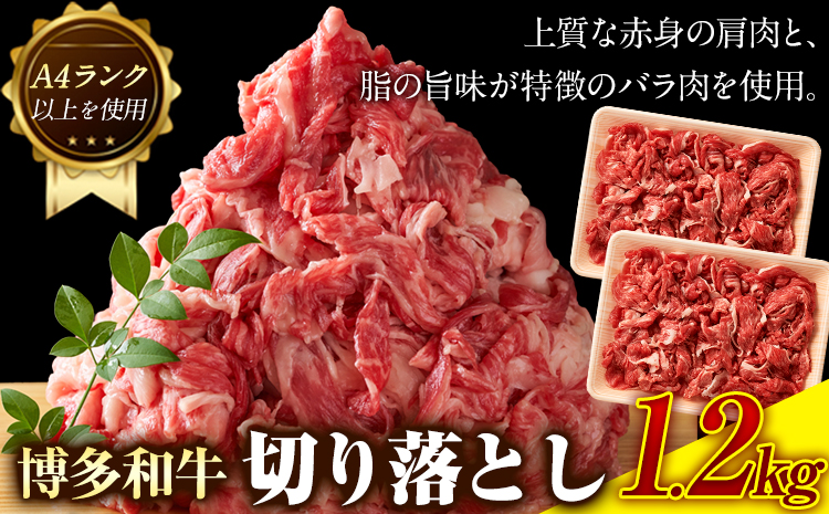 博多和牛切り落とし 1.2kg (600ｇ×2パック)《30日以内に出荷予定(土日祝除く)》 博多和牛 株式会社MEAT PLUS 牛肉 牛肩 バラ A4ランク 以上使用 厳選---sc_fmphtkr_30d_r7_16500_1200g---