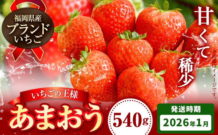 いちご あまおう 2026年 先行予約 いちご 大量 540g 選べる発送時期 定期便 フルーツ《2026年1月発送》苺 旬 くだもの 果物 福岡県 小竹町 ---isc_camoys_ac1_25_8500_540g---