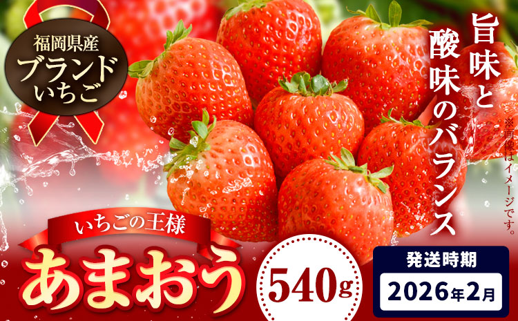 いちご あまおう 先行予約 いちご 大量 540g 選べる発送時期 定期便 フルーツ《2026年2月発送》苺 旬 くだもの 果物 福岡県 小竹町---isc_camoys_ac2_25_8000_540g---