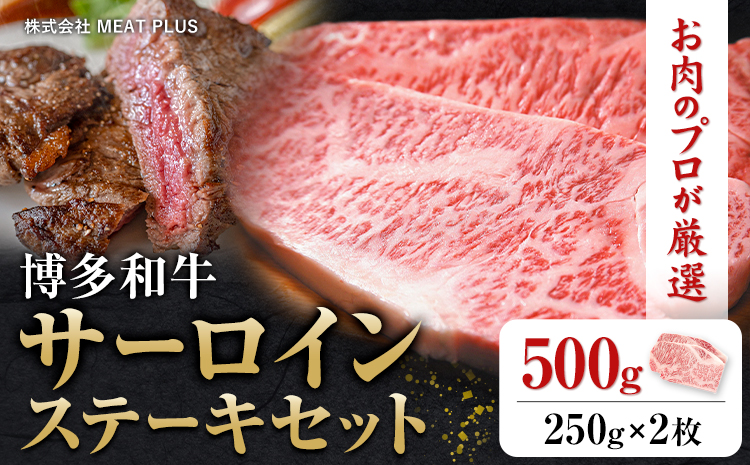博多和牛サーロインステーキセット 500g 250g×2枚 株式会社MEAT PLUS《30日以内に出荷予定(土日祝除く)》福岡県 鞍手郡 小竹町 博多和牛 和牛 牛肉 サーロイン ステーキ サーロインステーキ---sc_fmpsrin_30d_r7_17500_500g---