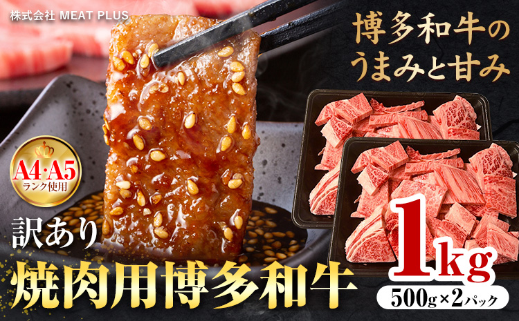 訳あり 博多和牛 A5 A4 焼肉用 1kg 株式会社MEAT PLUS《30日以内に出荷予定(土日祝除く)》福岡県 鞍手郡 小竹町 博多和牛 和牛 牛肉 肩ロース バラ カルビ 焼き肉 バーベキュー---sc_fmphtyk_30d_r7_23000_1kg---