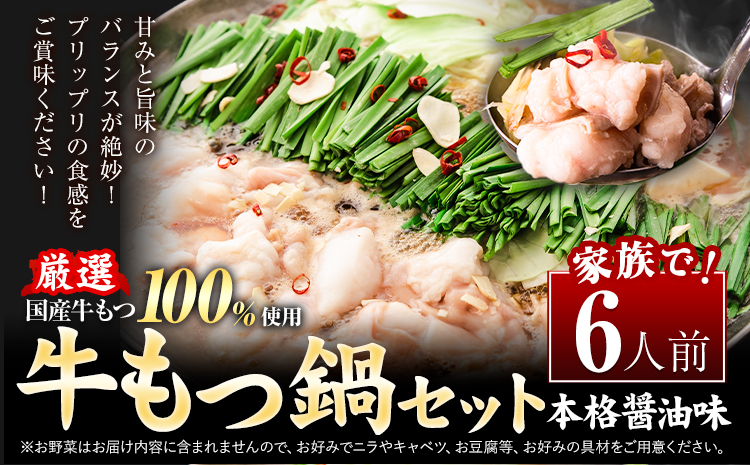もつ鍋 もつ鍋セット 6人前(2人前×3セット)  h本格醤油味 ちゃんぽん付き 国産牛小腸100％使用 送料無料《30日以内に出荷予定(土日祝除く)》 牛もつ 唐辛子 ニンニク セット 博多 国産 ヤマタカ醤油 牛 冷凍食品 冷凍 鍋 鍋セット---ktk_ftmtnbk_30d_25_9000_6i---