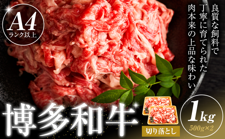 博多和牛 切り落とし 1kg 株式会社木村食品《30日以内に出荷予定(土日祝除く)》小竹町 博多和牛 牛肉 牛丼 肉じゃが 肩ロース 肩バラ モモ 赤身---sc_fkmrkro_30d_r7_16000_1kg---