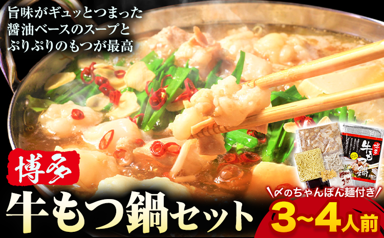 もつ鍋 博多 牛もつ鍋 セット 3~4人前 株式会社木村食品《30日以内に出荷予定(土日祝除く)》福岡県 鞍手郡 小竹町 牛 牛肉 もつ 鍋 送料無料---sc_fkmrmt_30d_r7_11500_4p---