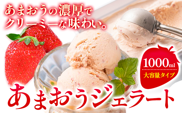 あまおうジェラート 1000ml 南国フルーツ株式会社《4月上旬-4月末頃出荷》福岡県 小竹町 あまおう いちご ジェラート 果物 送料無料---sc_fnngkzr_ac4_26_13500_1kg---