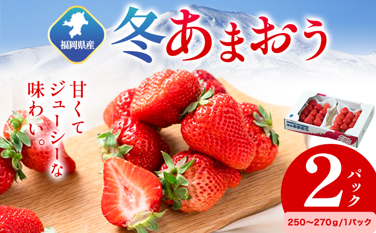 福岡県産 冬あまおう 2パック 南国フルーツ株式会社《12月上旬-1月末頃出荷》福岡県 小竹町 あまおう いちご イチゴ 送料無料【配送不可地域あり】---sc_cnngkam_af12_r7_13000_500g---