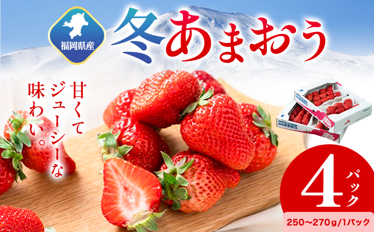 福岡県産 冬あまおう 4パック 南国フルーツ株式会社《12月上旬-1月末頃出荷》福岡県 小竹町 あまおう いちご イチゴ 送料無料【配送不可地域あり】---sc_cnngkam_af12_r7_21500_1kg---