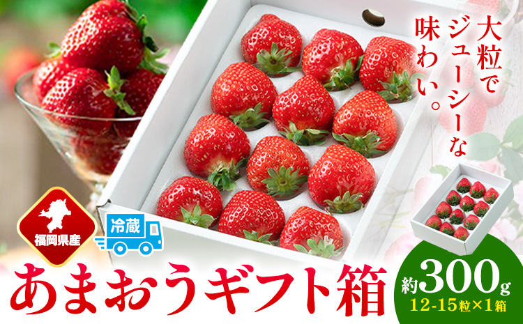 福岡県産 あまおう ギフト箱 約300g 南国フルーツ株式会社《12月上旬-3月末頃出荷》福岡県 小竹町 あまおう いちご イチゴ 送料無料【配送不可地域あり】---sc_cnngkam_af123_r7_13000_15i---