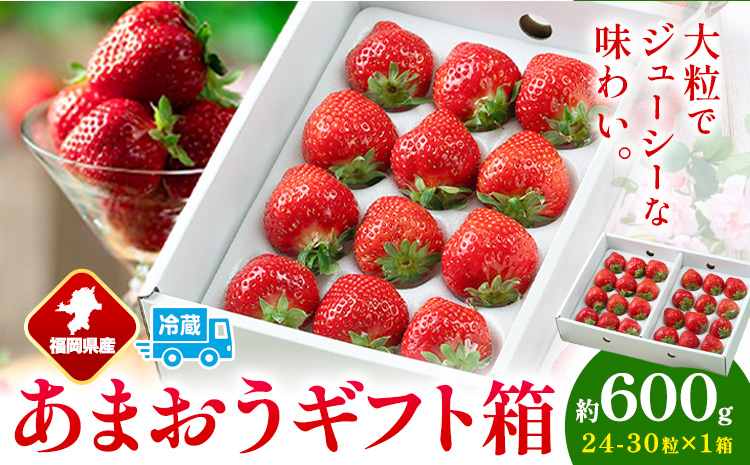 福岡県産 あまおう ギフト箱 約600g 南国フルーツ株式会社《12月上旬-3月末頃出荷》福岡県 小竹町 あまおう いちご イチゴ 送料無料【配送不可地域あり】---sc_cnngkam_af123_r7_17500_30i---