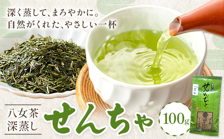 八女茶 深蒸し 茶煎茶 100g 株式会社ＪＳＥ《30日以内に出荷予定(土日祝除く)》 福岡県 小竹町 お茶 煎茶 深蒸し茶 お茶 茶葉 お茶の葉 お茶葉 煎茶 国産 日本茶 飲物 飲み物 飲みもの のみもの---isc_jseakrmn_30d_25_4500_100g---