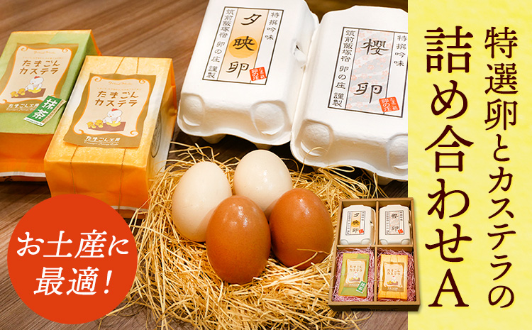 特選卵とカステラの詰め合わせA 《30日以内に出荷予定(土日祝除く)》卵 カステラ かすてら 詰め合わせ 有限会社畠中育雛場---isc_chnistumea_30d_r7_12500_4p---