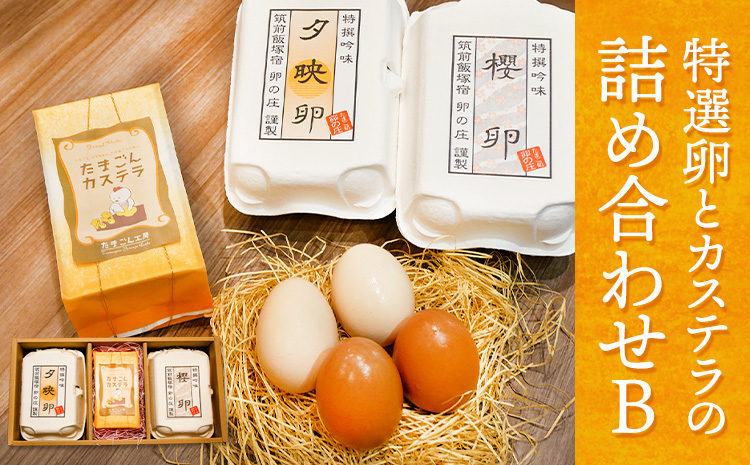 特選卵とカステラの詰め合わせB《30日以内に出荷予定(土日祝除く)》卵 カステラ かすてら 詰め合わせ 有限会社畠中育雛場---isc_chnistumeb_30d_r7_10500_3p---