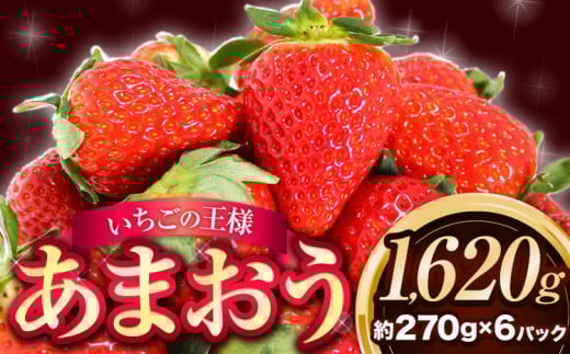 ★2026年出荷分★【先行予約】いちご あまおう 1620g (約270g×6パック) 苺 【着日指定不可】《2月中旬-4月末頃出荷予定》 イチゴ 果物 フルーツ  ---fn_ckrama_2c4m_25_14000_1620g---