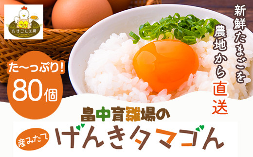 畠中育雛場のげんきタマゴん 80個 《30日以内に出荷予定(土日祝除く)》福岡県 鞍手郡 小竹町 卵 送料無料 有限会社畠中育雛場---isc_chnisegg_30d_r7_13000_80p---