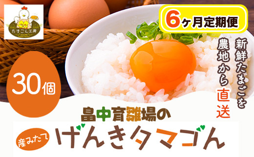 【6ヶ月定期便】畠中育雛場のげんきタマゴん 30個《お申込み月の翌月から出荷開始》卵 有限会社畠中育雛場---isc_chniseggtei_r7_47000_mo6num1---