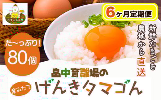 【6ヶ月定期便】畠中育雛場のげんきタマゴん 80個《お申込み月の翌月から出荷開始》有限会社畠中育雛場---isc_chniseggtei_r7_73000_mo6num1---