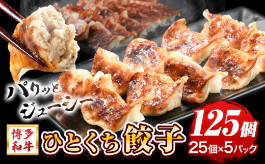 餃子 一口餃子 ひとくち 博多和牛 冷凍 25個 × 5パック 125個 清柳食産《30日以内に出荷予定(土日祝除く)》---sc_fsrhtktgz_30d_r7_13500_125i---
